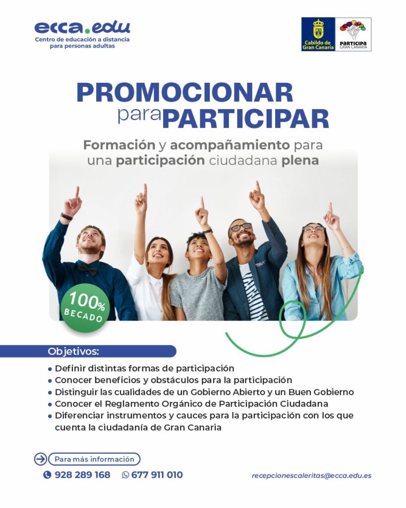 Proyecto Participación Ciudadana Cabildo GC
