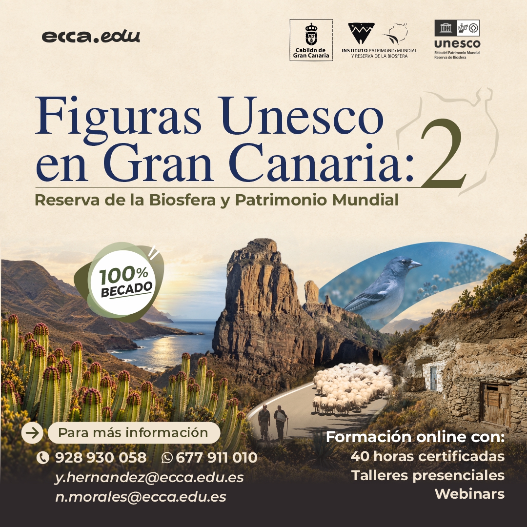 Creatividad redes sociales - Curso Figuras Unesco Gran Canaria