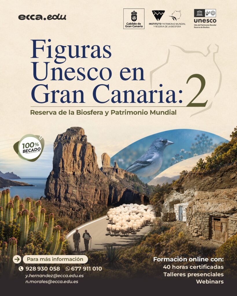 Creatividad redes sociales - Curso Figuras Unesco Gran Canaria